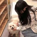 妖神山海经传说官方版手游下载